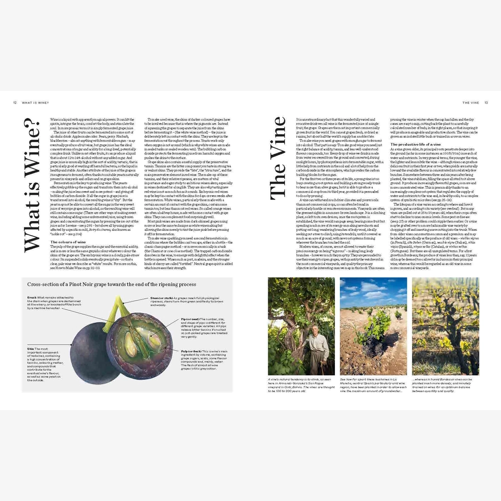 An interior spread showing botanical images.